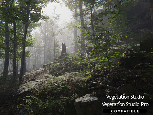 Forest Environment - Dynamic Nature